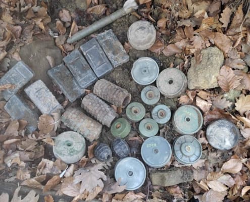 Federlna uprava civilne zaštite (13)