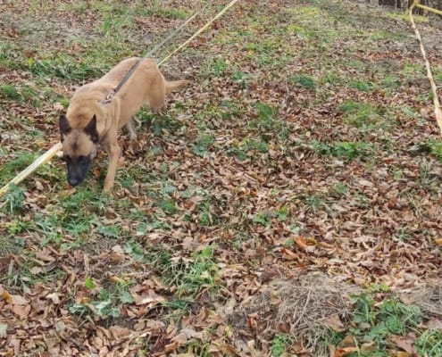 Federlna uprava civilne zaštite (5)